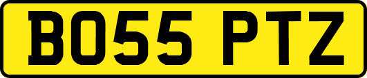 BO55PTZ