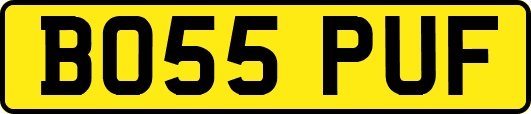 BO55PUF