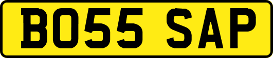BO55SAP