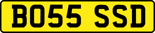 BO55SSD