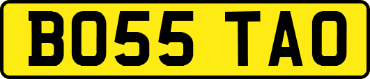 BO55TAO