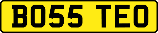 BO55TEO