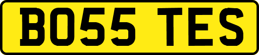 BO55TES