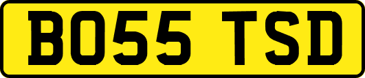 BO55TSD