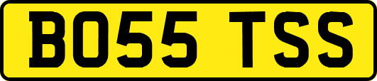 BO55TSS