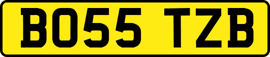 BO55TZB