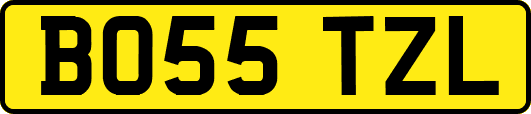 BO55TZL