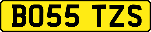 BO55TZS