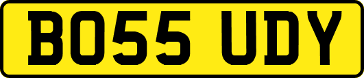 BO55UDY