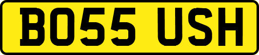 BO55USH