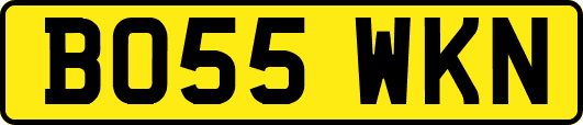 BO55WKN