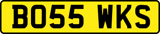 BO55WKS