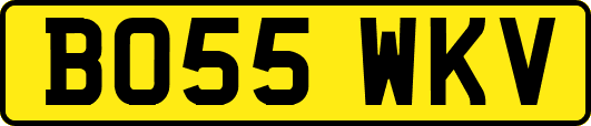 BO55WKV