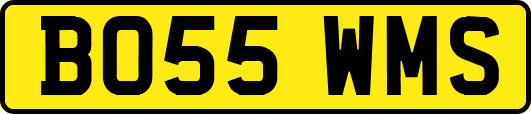 BO55WMS