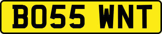 BO55WNT