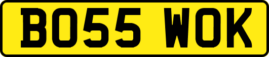 BO55WOK