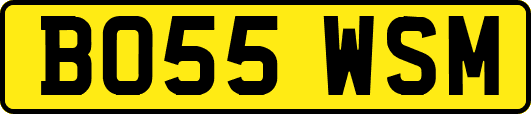 BO55WSM