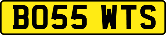 BO55WTS