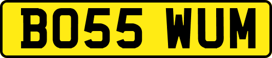 BO55WUM