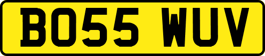 BO55WUV