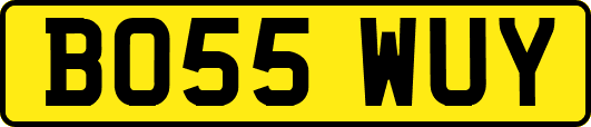 BO55WUY