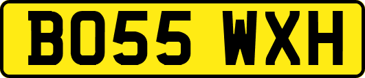 BO55WXH