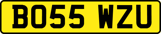 BO55WZU