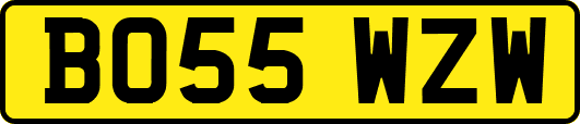 BO55WZW