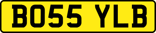 BO55YLB