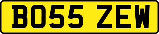 BO55ZEW