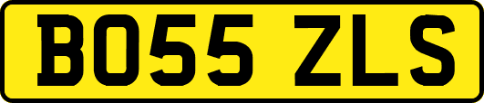 BO55ZLS
