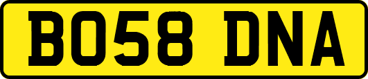 BO58DNA