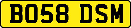 BO58DSM