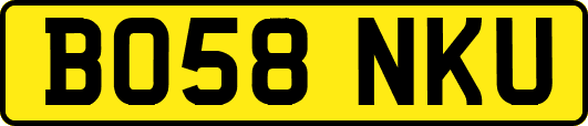 BO58NKU
