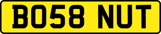 BO58NUT