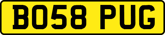 BO58PUG