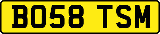 BO58TSM