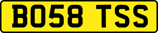 BO58TSS