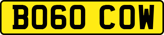 BO60COW