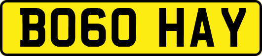 BO60HAY