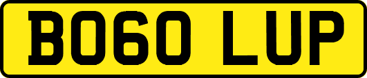 BO60LUP