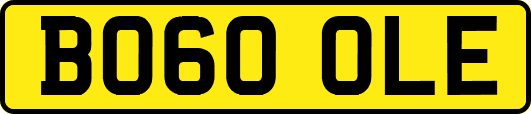 BO60OLE
