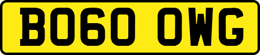 BO60OWG