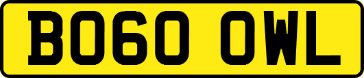 BO60OWL