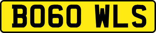 BO60WLS