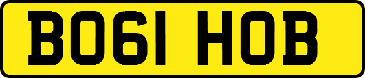 BO61HOB