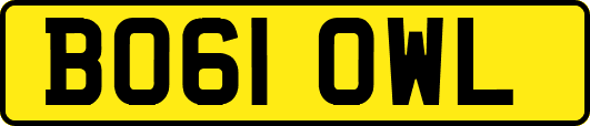 BO61OWL