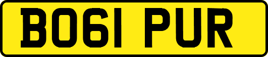 BO61PUR