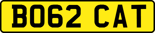 BO62CAT