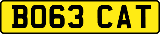 BO63CAT